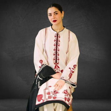 3Pc Fancy Zara ShahJahan Hit Article
