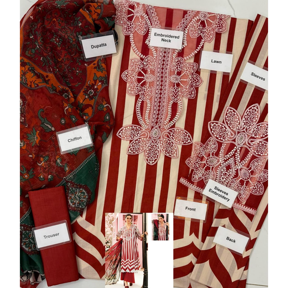 3 pcs Lawn Fancy Hit Article