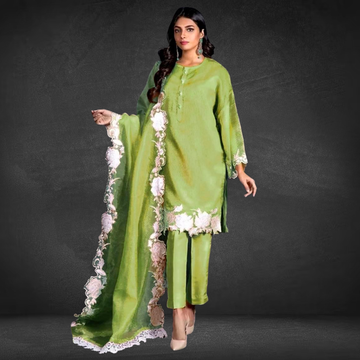 3 pcs Lawn Fancy Hit Article