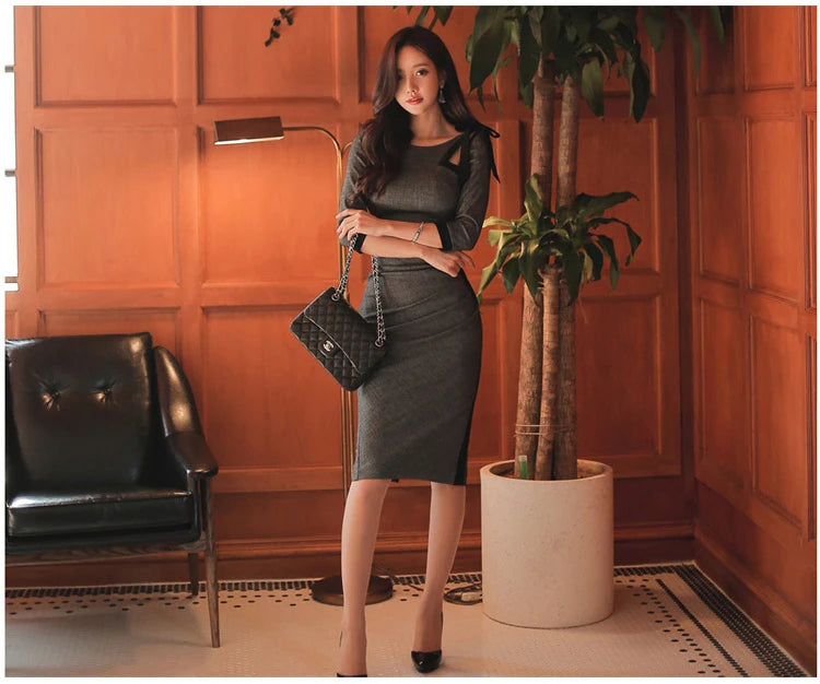 Women’s Color Blocking Sheath Dress